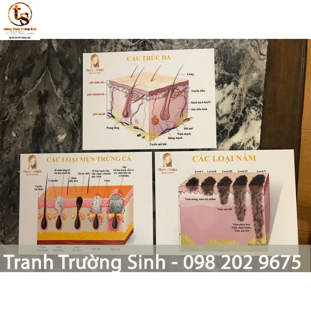 Bộ 3 tranh cấu trúc da