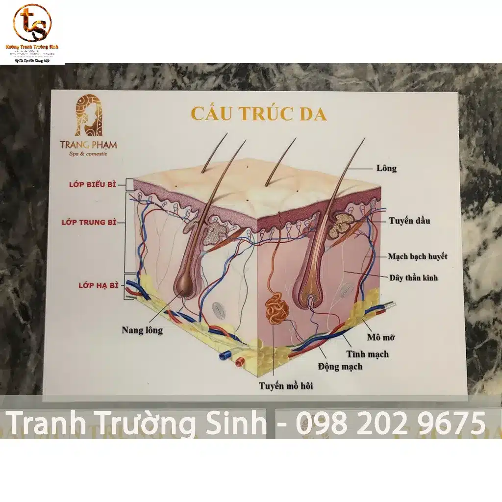 Bộ 3 tranh cấu trúc da