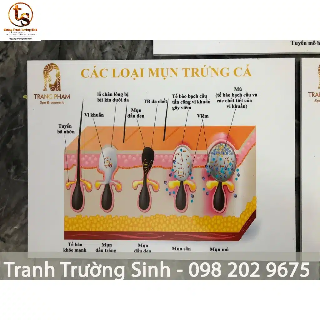 Bộ 3 tranh cấu trúc da