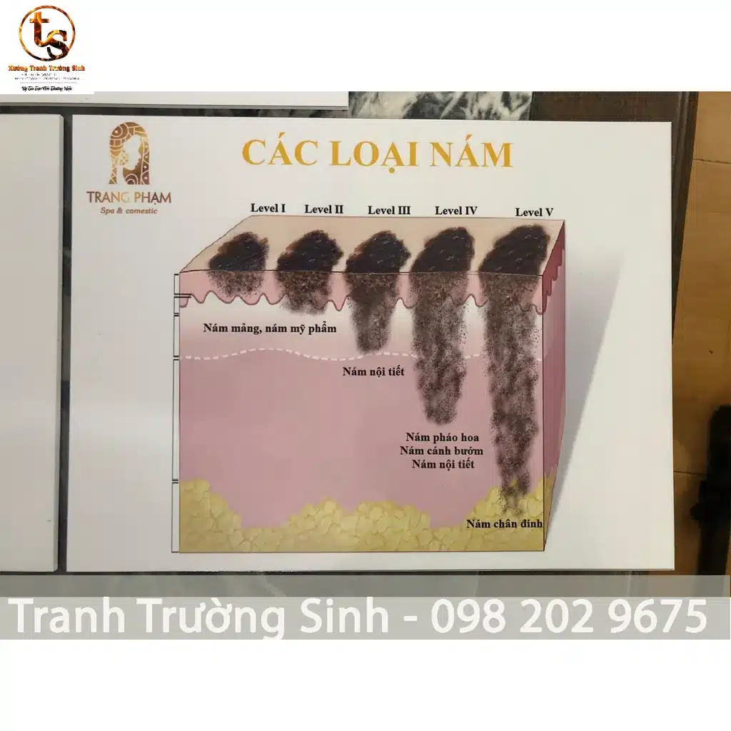 Bộ 3 tranh cấu trúc da