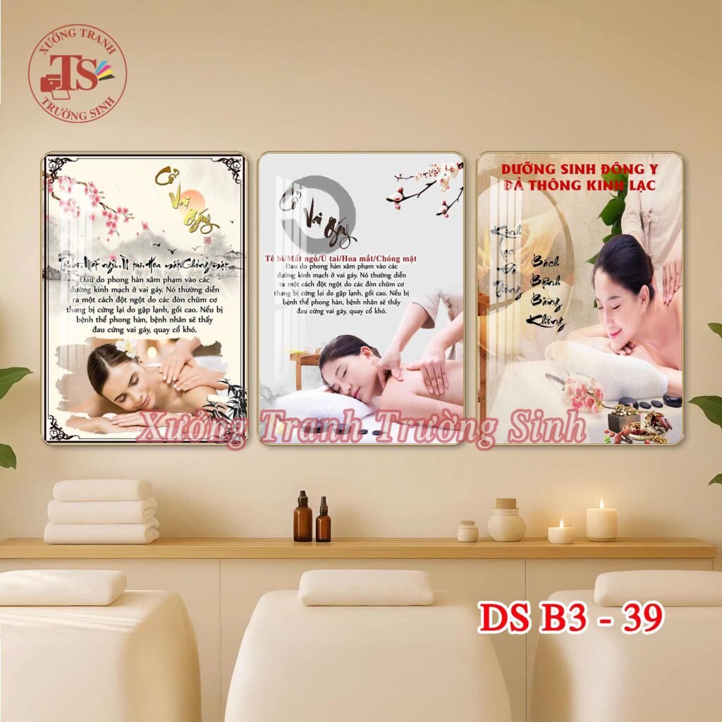 Bộ 3 Tranh Dưỡng Sinh Đông Y, Massage, Đả Thông Kinh Lạc – Tranh Tráng Gương Treo Tường